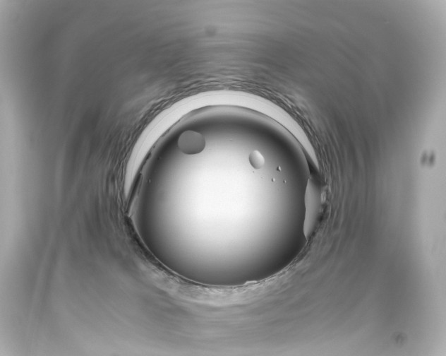 X0000093610037200710291214
