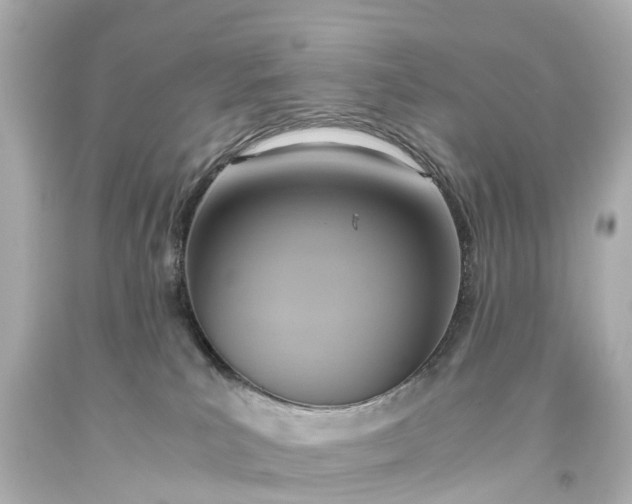 X0000093610039200710291214