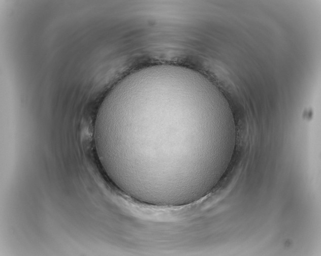 X0000093610040200710291214