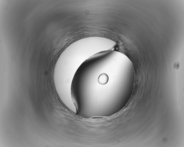 X0000093610041200710291214