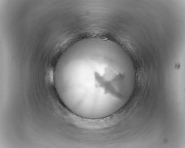 X0000093610042200710291214