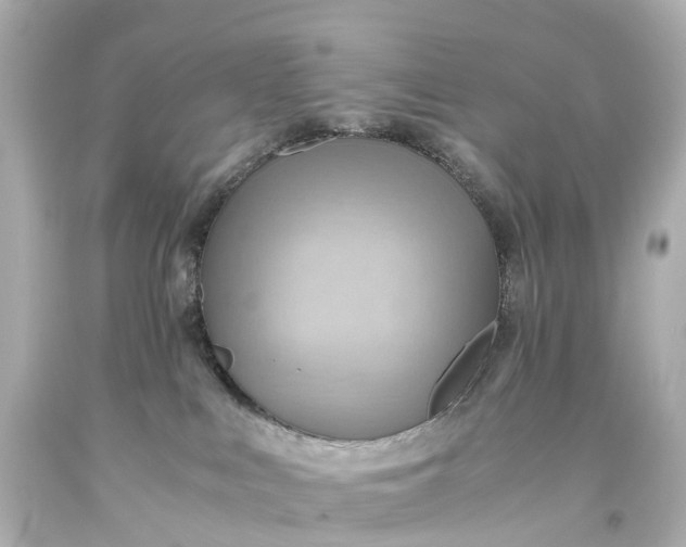 X0000093610043200710291214