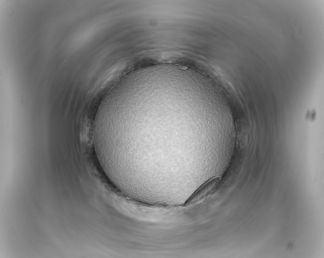 X0000093610044200710291214