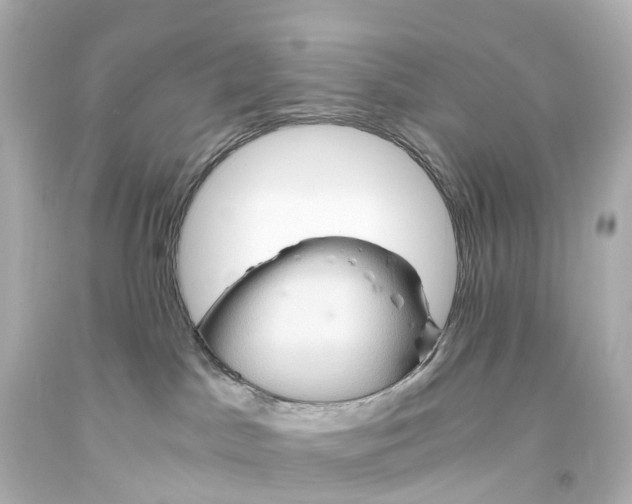 X0000093610045200710291214