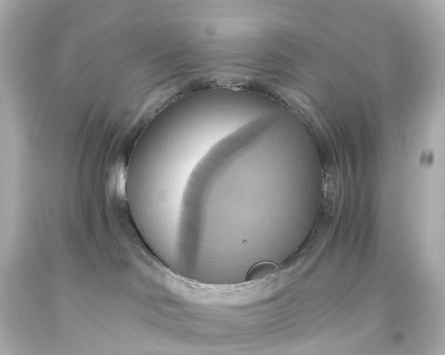 X0000093610046200710291214