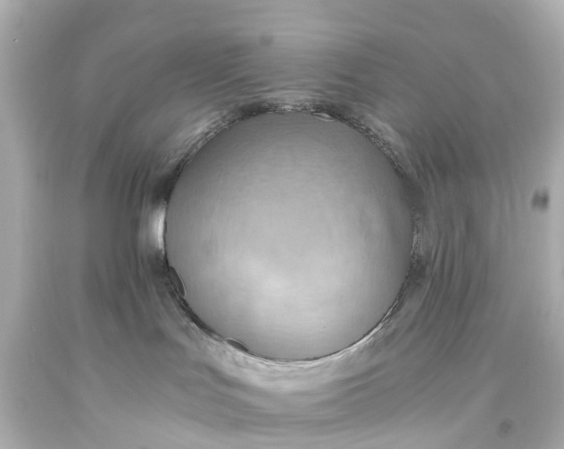 X0000093610047200710291214