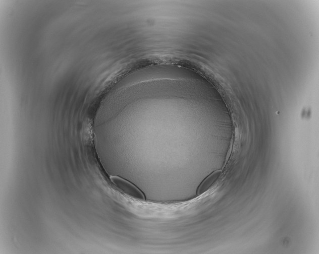X0000093610048200710291214