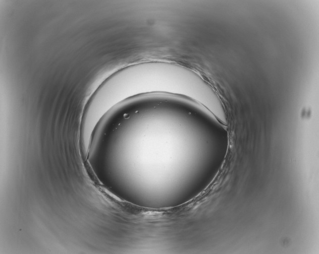 X0000093610052200710291214
