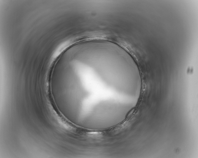 X0000093610053200710291214