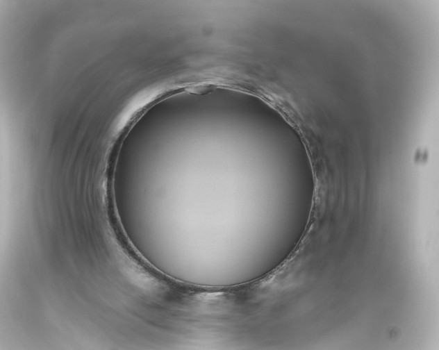 X0000093610054200710291214
