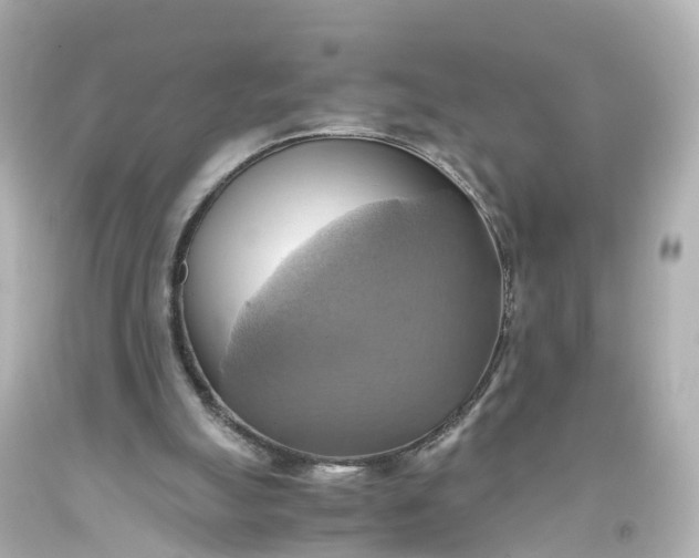 X0000093610055200710291214