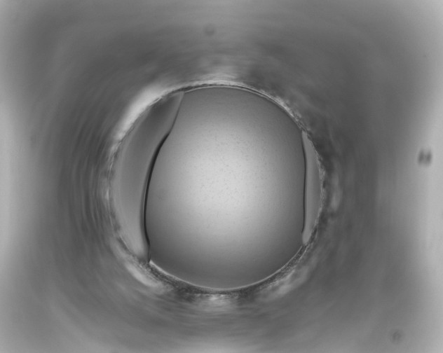 X0000093610056200710291214