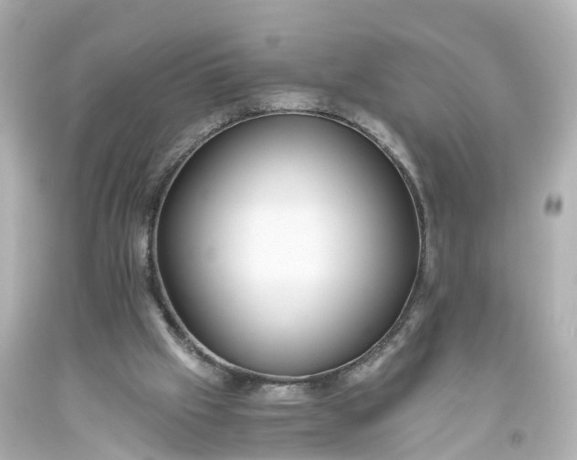 X0000093610057200710291214