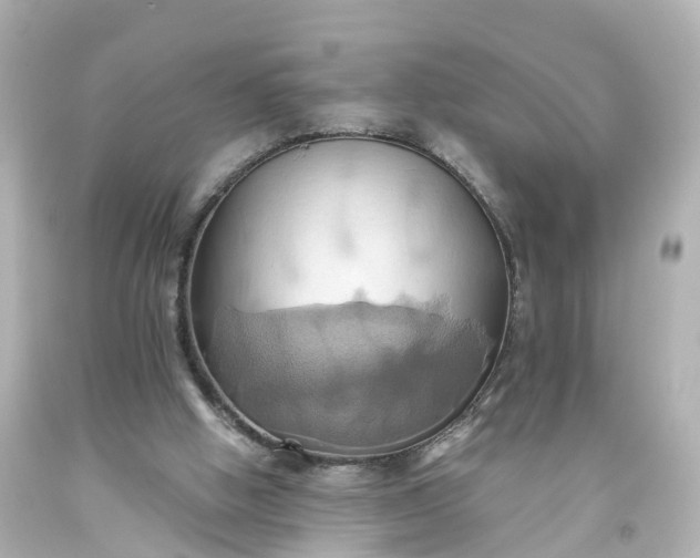 X0000093610058200710291214