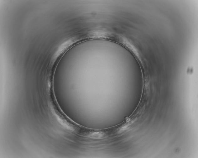 X0000093610059200710291214