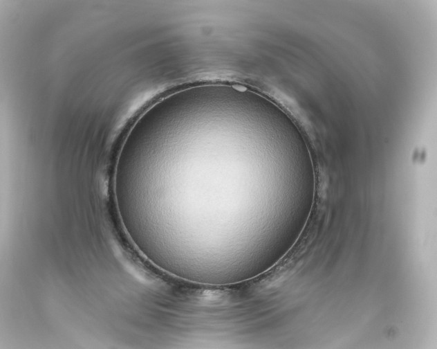 X0000093610060200710291214