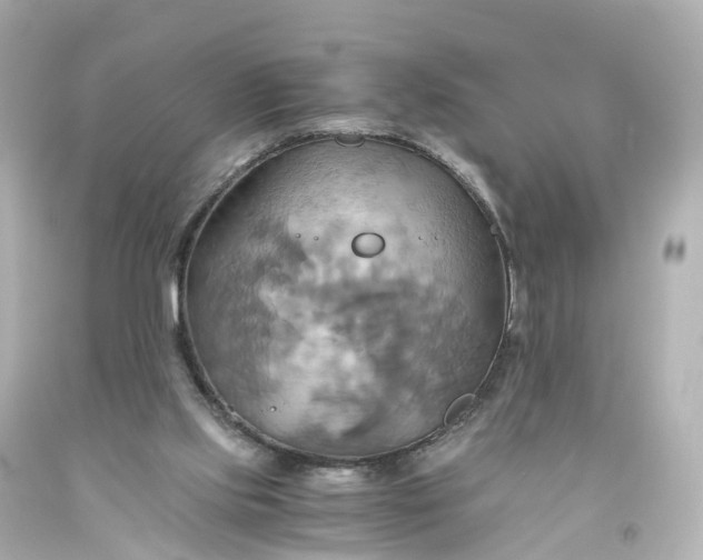 X0000093610061200710291214