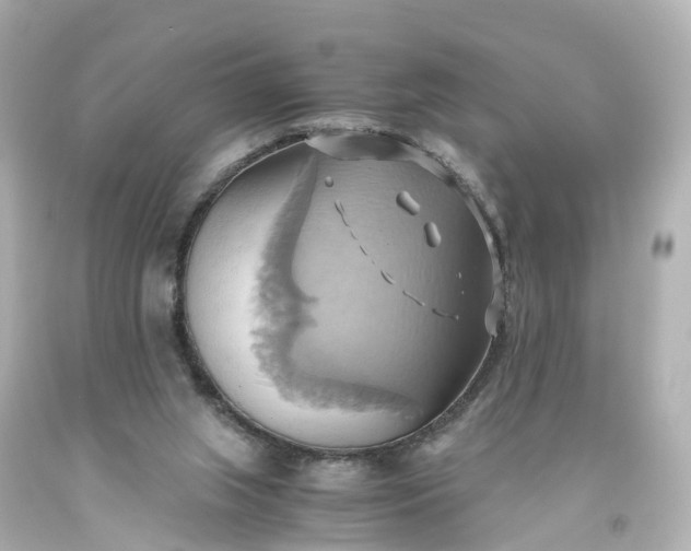 X0000093610063200710291214