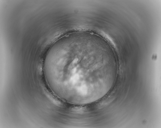 X0000093610065200710291214