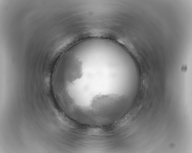 X0000093610066200710291214