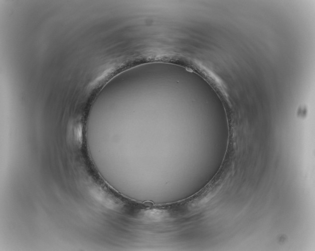 X0000093610067200710291214