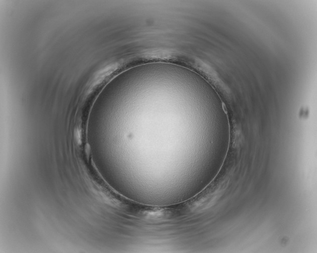 X0000093610068200710291214