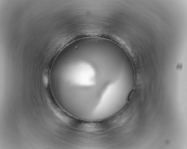 X0000093610069200710291214