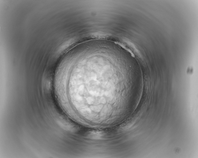 X0000093610071200710291214