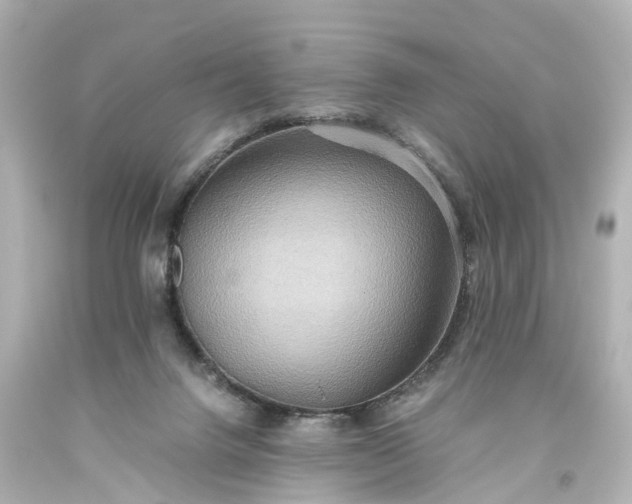 X0000093610072200710291214