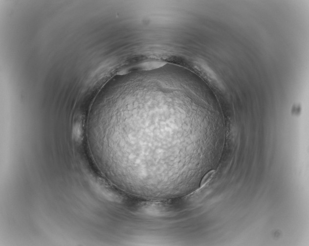 X0000093610074200710291214