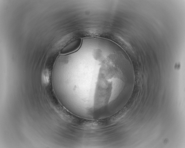 X0000093610075200710291214