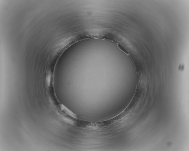 X0000093610076200710291214