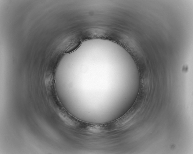 X0000093610079200710291214
