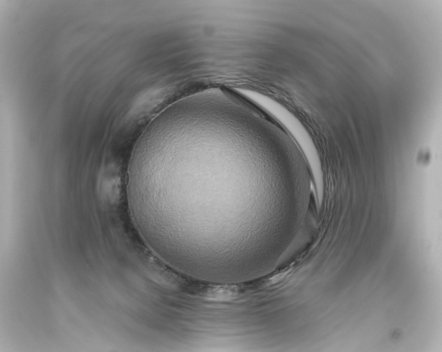 X0000093610080200710291214