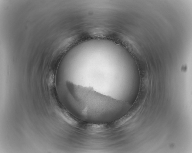 X0000093610081200710291214