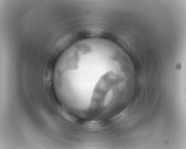 X0000093610082200710291214