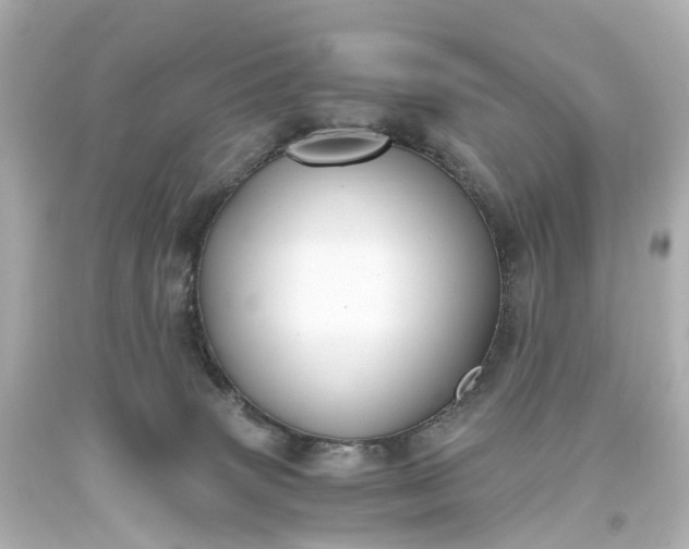 X0000093610083200710291214