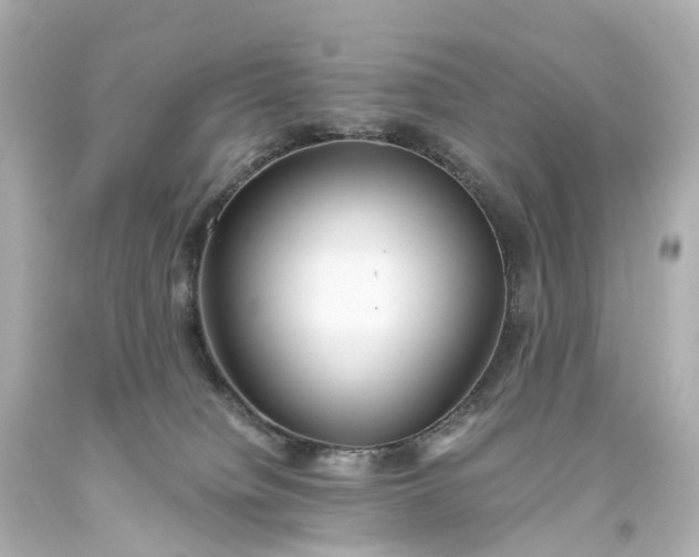 X0000093610084200710291214