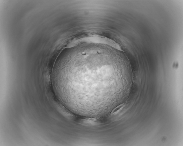 X0000093610086200710291214