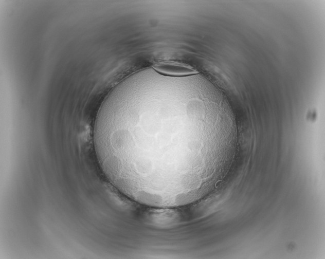 X0000093610087200710291214