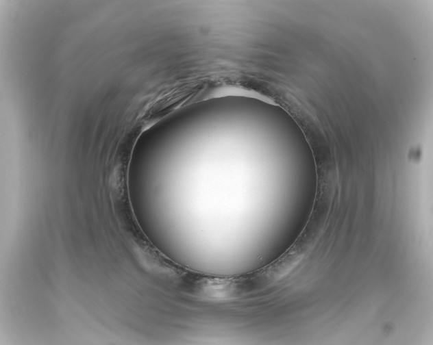 X0000093610088200710291214