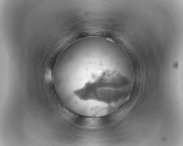 X0000093610089200710291214