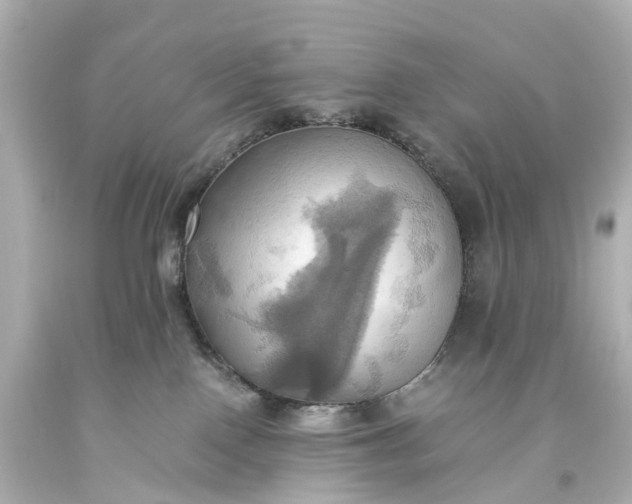 X0000093610090200710291214