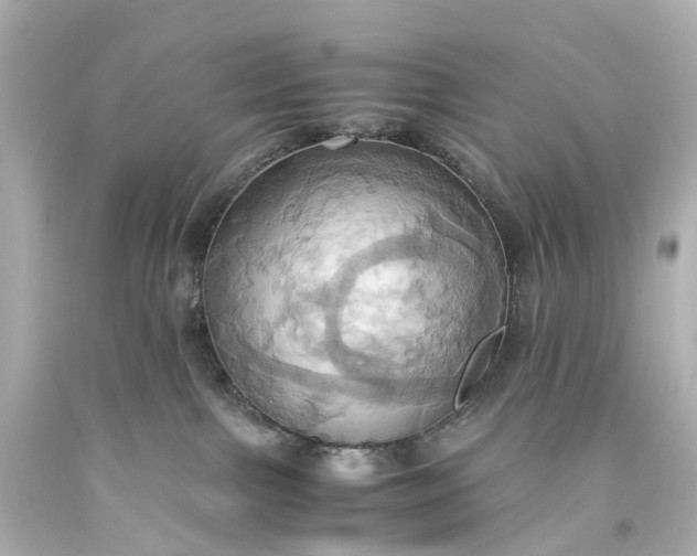 X0000093610091200710291214