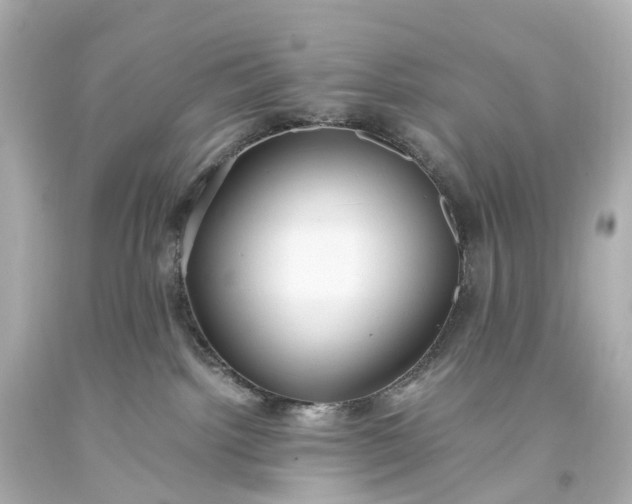 X0000093610092200710291214