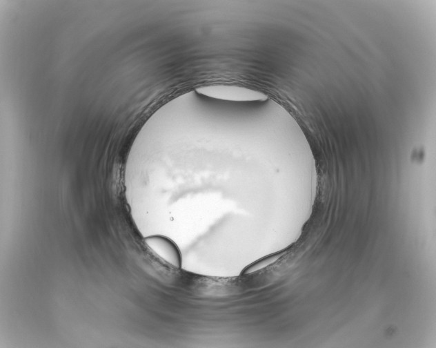 X0000093610093200710291214