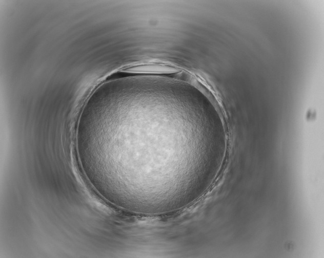 X0000093610097200710291214