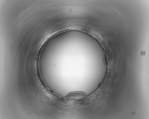 X0000093610098200710291214