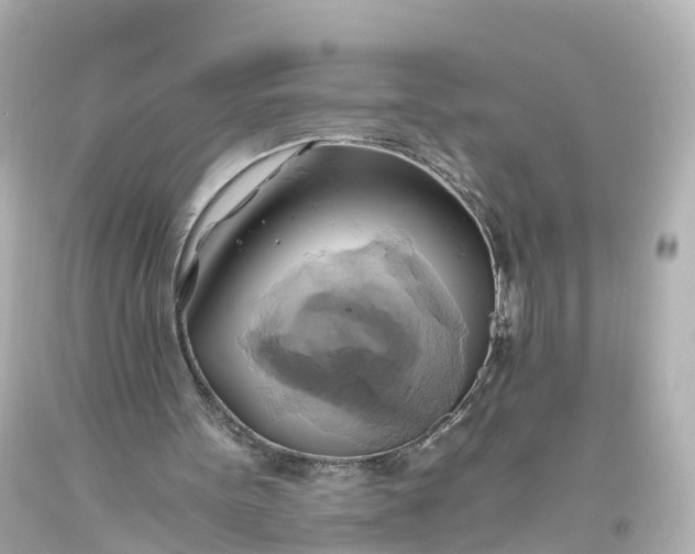 X0000093610099200710291214