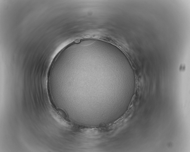 X0000093610100200710291214